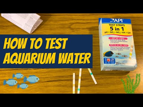 How to Test Aquarium Water - Easiest Method