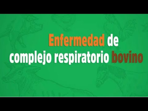 , title : 'Enfermedad de complejo respiratorio bovino- Oscar Araya'