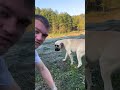Random Dog Found Jesus GrayGang