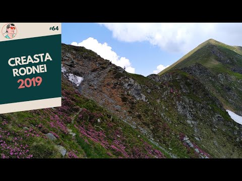 Creasta RODNEI de la Alpina Blazna la Borsa