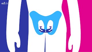 ED Clinics: Awareness based on men's pelvic floor muscles