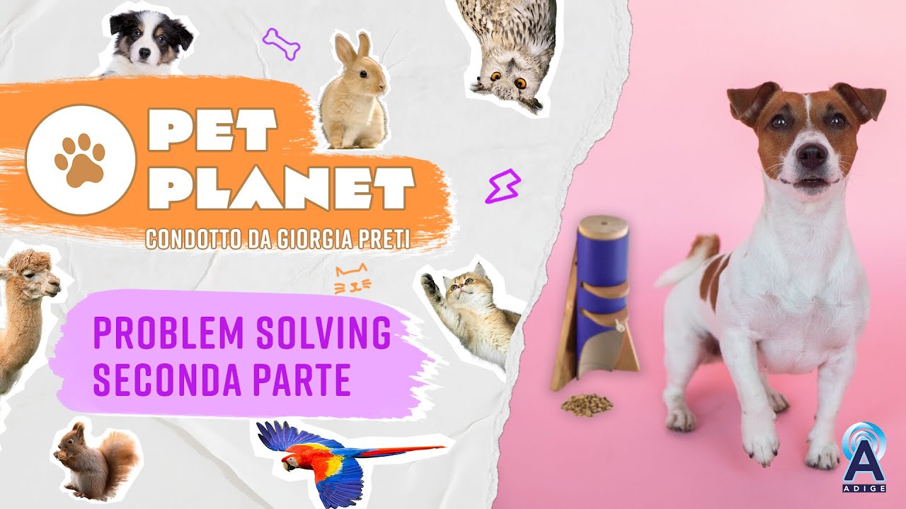 Descrizione dell'immagine