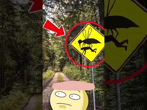 Soha ne lásd az út szélén ezt a táblát #trip