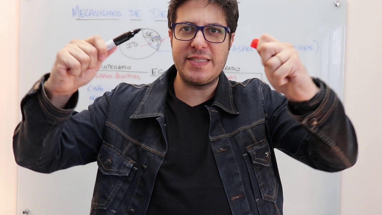 Mecanismos de defesa e estrutura egóica: Teorias da Personalidade em Freud, Reich e Jung - Aula #7