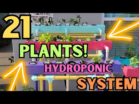 Setting Up My 21 Plant Cascading Hydroponic System! A Dr Hydro Invention!