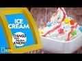 Cool Facts About Ice Cream Things You Wanna Know