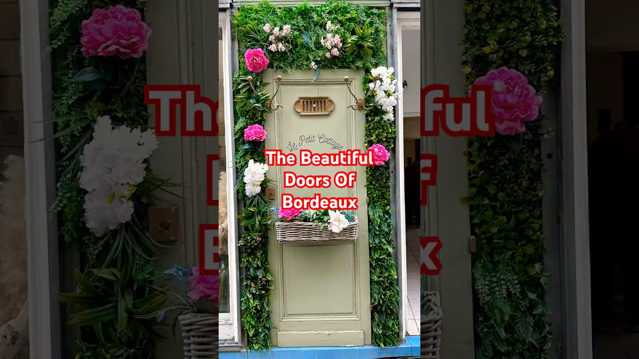 The Doors of Bordeaux, France #bordeaux #winecountry #franceshorts #decor #frenchdoors #frenchstyle