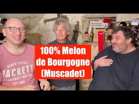 Dégustation vin - Melon de Bourgogne - Muscadet- Jérémie Huchet - Dégustation à l'aveugle