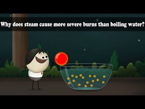 Why does steam cause more severe burns than boiling water? | #aumsum #kids #science