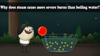 Why does steam cause more severe burns than boiling water? | Smart Learning for All