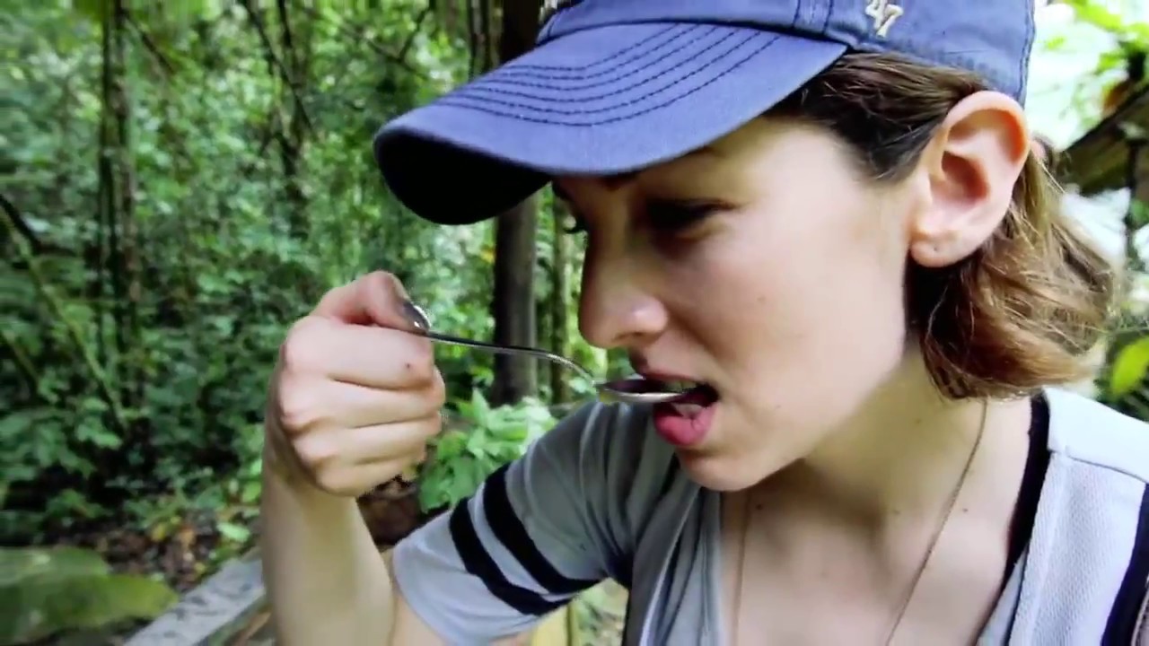 Top Things To Do In Sabah, Malaysia!