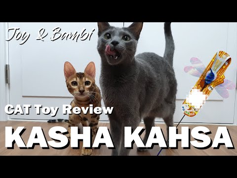 Funny Cats Joy & Bambi and a Cat Toy Kasha Kahsa