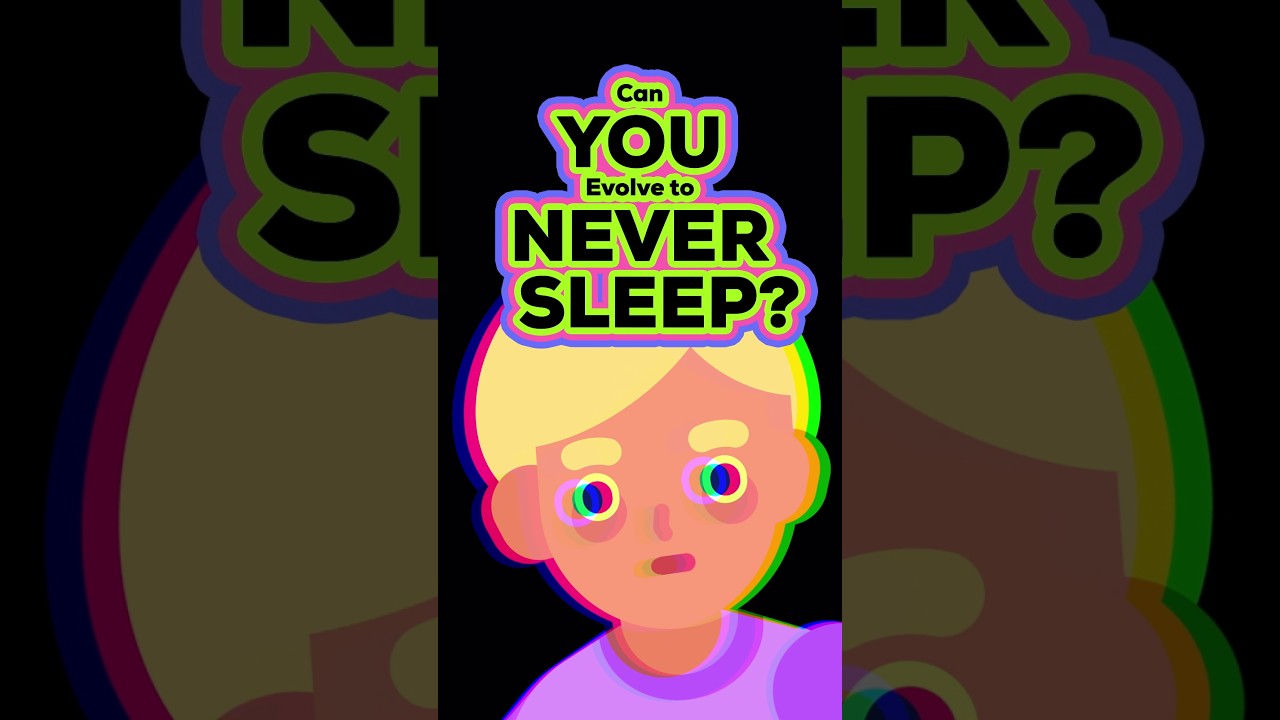 What If You Never Slept?