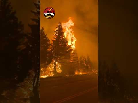 URGENT: Wildfire Crosses Route 40 | Epuyén & El Hoyo 🇦🇷 #breakingnews #shortsvideo