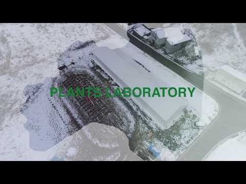 grande-piscine-extérieure-rectangulaire-chaises-longues