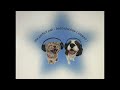 The Perfect Pair Beabadoobee Slowed