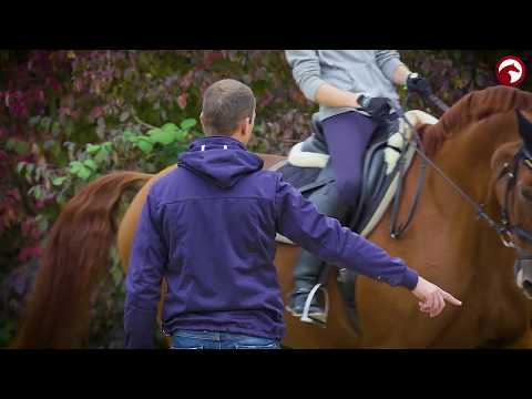 Hendrik Lochthowe | Unter die Top 60 | Deutsche Bank Reitsport- Akademie