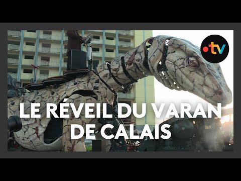 Varan de Calais : les spectateurs, émus de découvrir le nouveau gardien de la ville