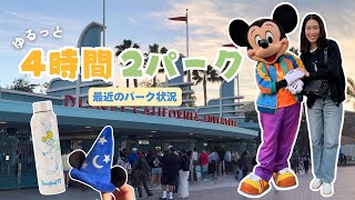 ゆるっと4時間ディズニー|最近の様子レポ🏰🎡