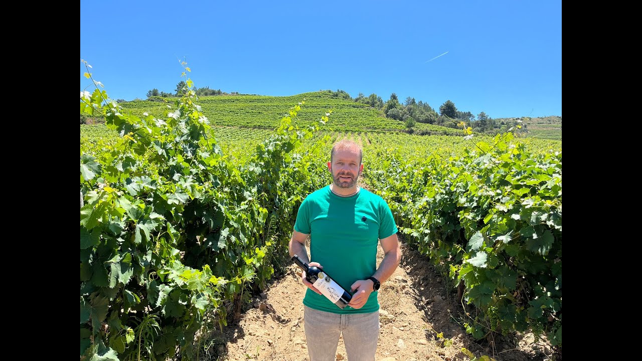 Visita à adega Vinilourenço LDA - Melhor vinho de Espanha e Portugal 2023