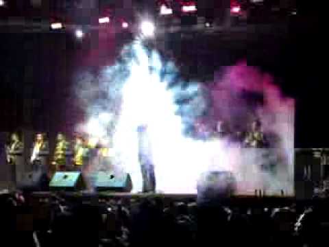 Me Vale Ver Gatos Bravos La  No.1 Banda Jerez