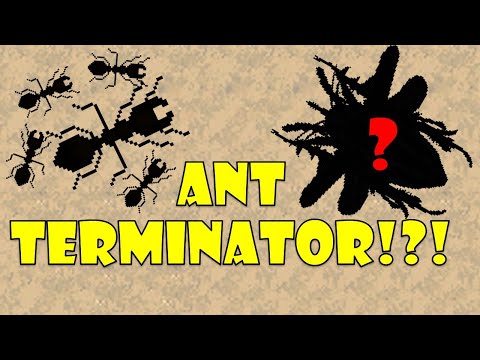 Ant Terminator - Pocket Ants - Smart Daddy