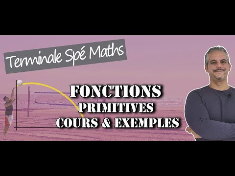 Primitives – Cours et exemples