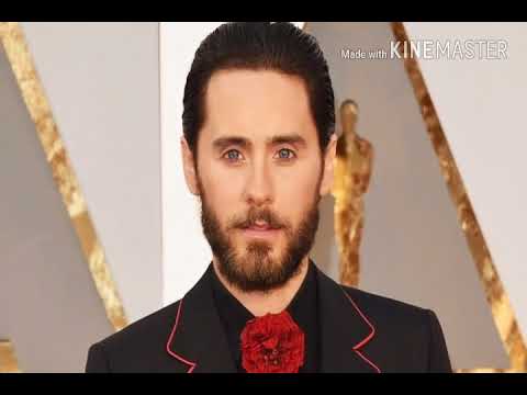 Notícias Geek: Canal O Nerd Viciado