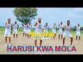 Mayiku Sai Harusi Ya Mola Kisukuma 2025 Bg Juma Macomputer