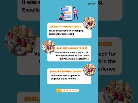 Broiler Chicken Farming broilerchicken poultryfarming chicken poultrymanagement