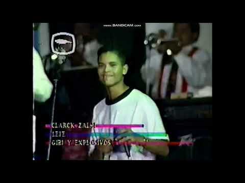 Clarck Zalm 1992 Lei e