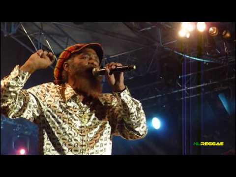 JOHN HOLT "Police In Helicopter ~ Ali Baba" Garance Reggae Festival 2010