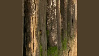 Download lagu Supernova Regrets mp3