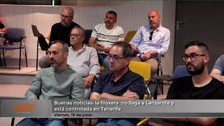 La filoxera no llega a Lanzarote