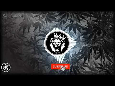 Smash Mouth - All Star ( Breathe Carolina Remix)