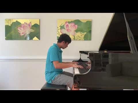 Ludovico Einaudi - Nuvole Bianche