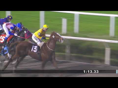 30/08/2019 – Hipodromo Maroñas – Carr 10 – OLYMPIC HARVARD (2018)