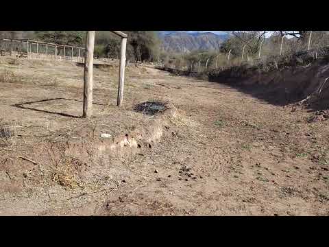 Londres Catamarca cachila imforma 