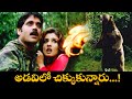 అడవిలో చిక్కుకున్నారు Nagarjuna Raveena Tandon Akasa Veedhil