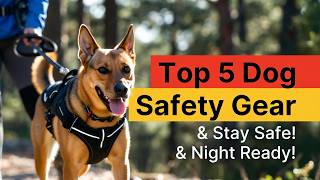 Top 5 Best Reflective Dog Outdoor Safety Gear Review 2026 (H