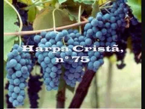 Harpa cristã, nº 75 Em Jesus Tens a Palma de Vitória