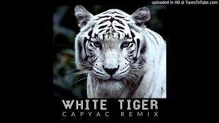 Izzy Bizu - White Tiger (Capyac Remix)
