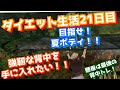 ダイエット日記21日目 目指せ夏ボディ!! 懸垂が最高!