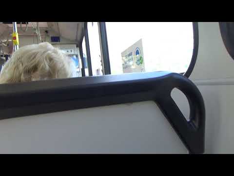 NT Volvo B12BLE (1606, CC CB60, ZF): Charlestown to Jewells (14 outbound)