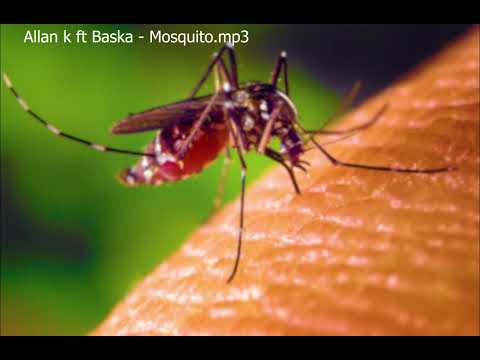 Allan k ft Baska - Mosquito