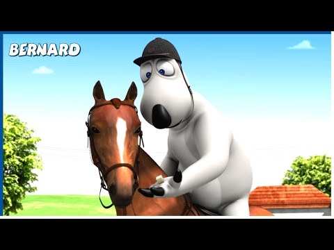 DRESSAGE | Bernard | 110' Compilation