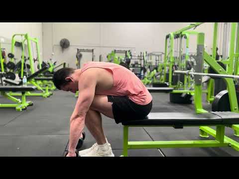 Dumbbell Rear Delt Row