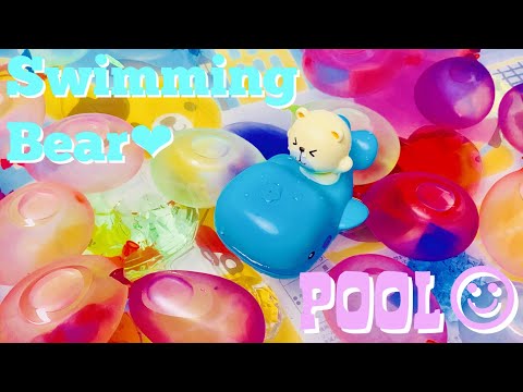 Swimming Bear !! Amphibious Car | Pool | Kawaii !!