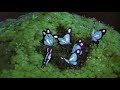 Another Day (Revised) - The Album Leaf (slowed+reverb)