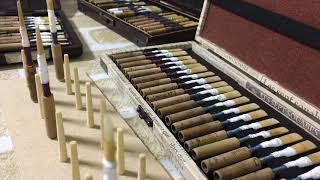 an island in the darkness, oboe